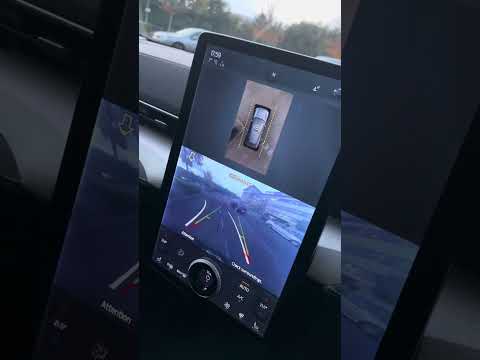 Mustang Mach E park assist almost epic fail