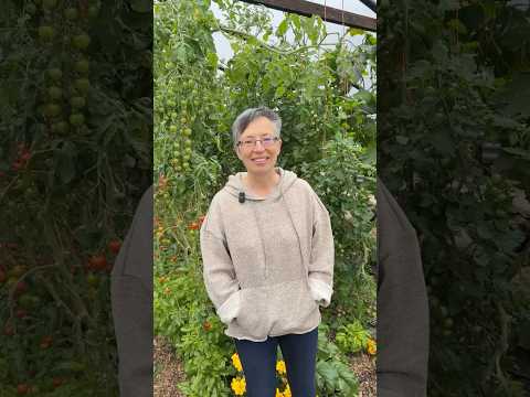 Manda Scott on Regenerative Farming & Soil Health