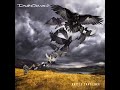 David Gilmour - Beauty