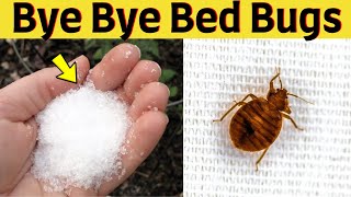 Use borax to get rid of bed bugs permanently fast in one day on your own