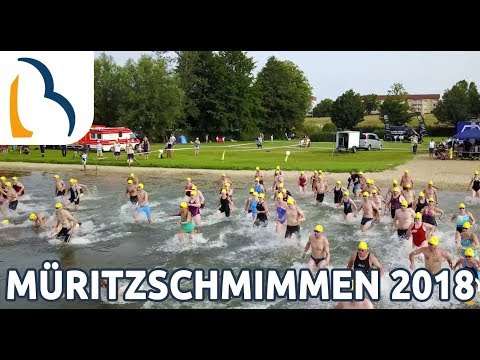Müritzschwimmen 2018 Start- und Begleitboot Bootsurlaub.de