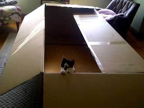 Luanne and the BEST. BOX. EVER.