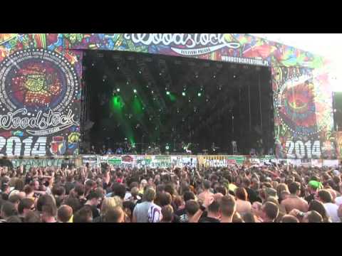 Woodstock 2014 JELONEK DAŁ CZADU