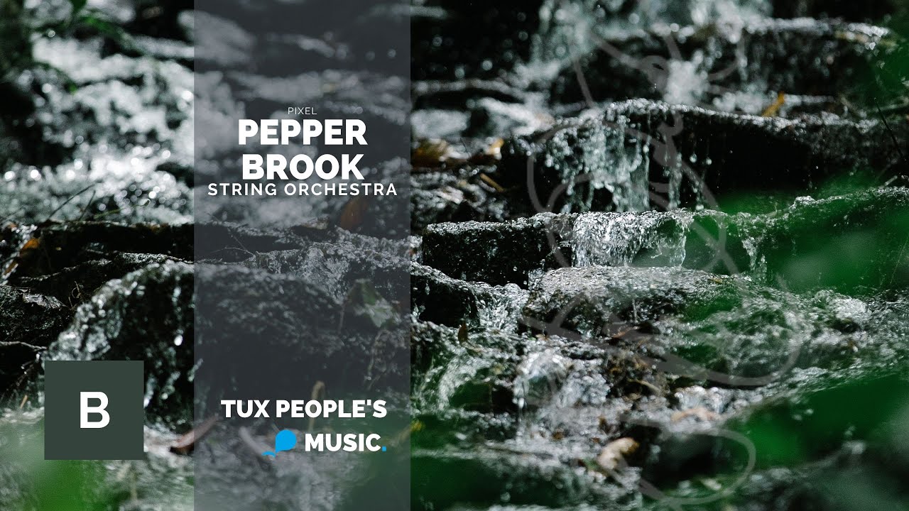 Pepper Brook (String Orchestra) - PIXEL