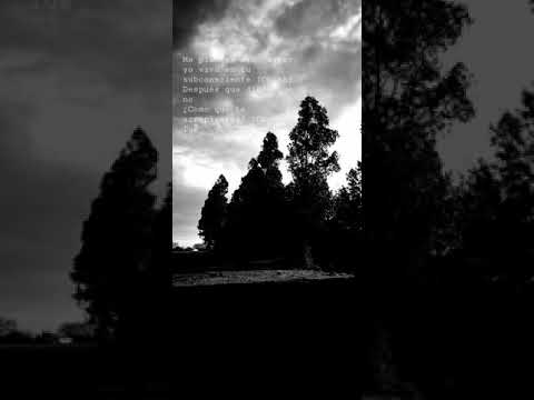 Subconsciente . Yandel X Lunay