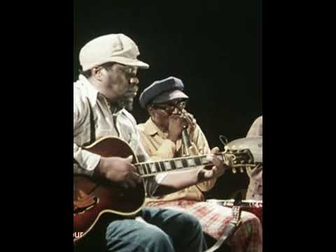 Thumbnail for Sonny Blake - 'Bring It On Home' live 1976 by Joe Willie Wilkins
