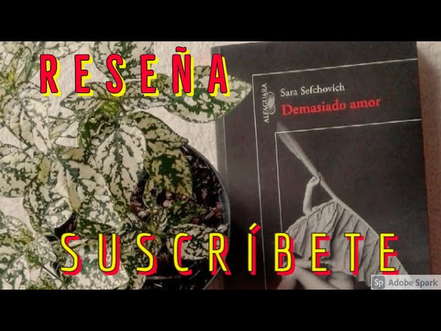 Vídeo relacionado con Demasiado Amor