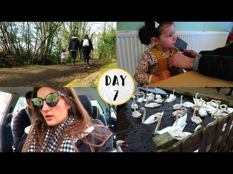 Tea, Cake & The Broads! | VEDA