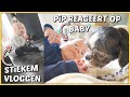 LUXY VLOGT STiEKEM & PiP REAGEERT OP HUiLDENDE BABY ? | Bellinga Vlog #2220