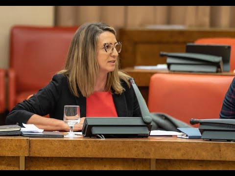 Intervención de Alicia García en el Congreso de los Diputados