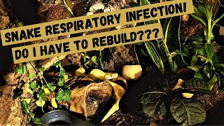 BONUS VIDEO: Snake Respiratory Infection Treatment & do I have to re-build the bioactive enclosure?