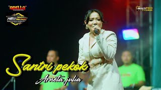 Download lagu SANTRI PEKOK - Arneta Julia - OM ADELLA ( live New Recinda 2024 ) mp3