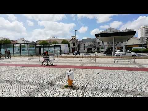 Luis Marreco Portimão