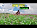 Kaas Pathar Satara 2023 | Kaas Plateau Vlog | Valley Of Flowers Maharashtra
