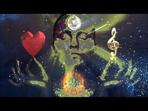 Perplex - Anti Shock