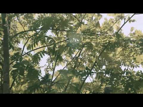 Video thumbnail for Get Me High