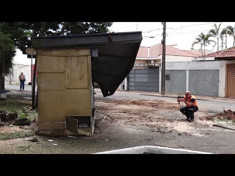 Pelo menos 20 árvores caem durante chuva intensa em Rio Claro