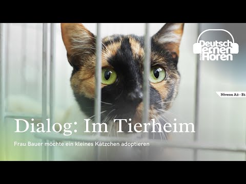 #254 || Deutsch lernen durch Hören - Deutsch lernen mit Dialogen || Dialog Nr.:7 || Niveau: A2 - B1