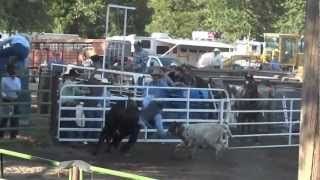 preview picture of video '2012 Etna Old Time Rodeo HD'