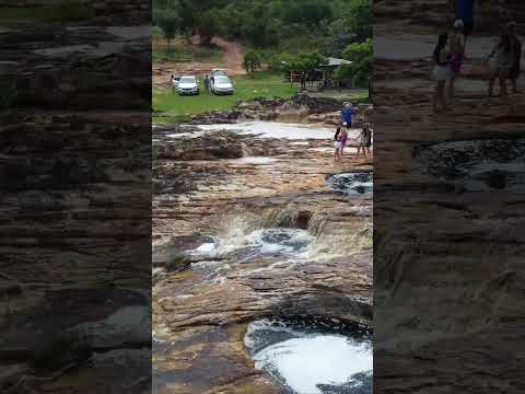 FOLHA LARGA - MINAS GERAIS - BOTUMIRIM #fypシ #shorts #natureza