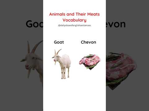 Names of Animals Meat: Different Types of Meats, Meat Types in English #learnenglish #animals #meat