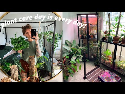 day in the life of a plant mom | working from home + daily plant chores 🌿