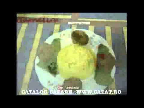 Cazare Topesti, Vrancea - Cazat.ro