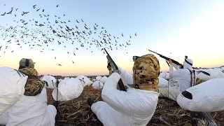 8 MAN LIMIT!!! EPIC Goose Hunting in Kansas 2017