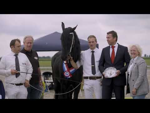 Kampioen fokdag het Friesche Paard Noord en Zuid-Holland Amarens van Lapinenburg 2019