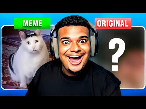 THE ORIGIN OF MEME SOUNDS