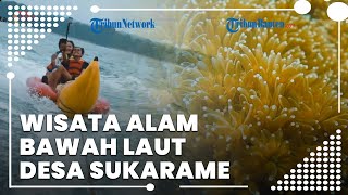 Melihat Indahnya Alam Desa Wisata Sukarame di Banten, Wisata Alam Bawah Laut yang Menjanjikan