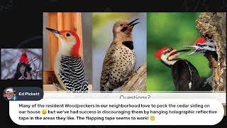 Rebroadcast- Woodpeckers & How to Attract Them