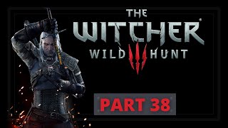The Witcher 3 Wild Hunt Walkthrough Ep. 38 - A Deadly Plot