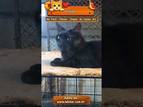 Vídeo de Pretinha