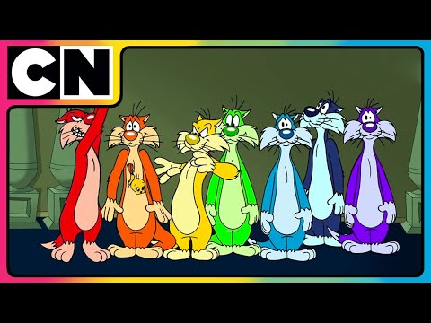 Colourful Sylvesters Chase Tweety Bird | Looney Tunes | Cartoon Network Asia