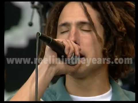 Rage Against The Machine • “Take The Power Back” • 1993 Reelin' In The Years Archive