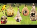 More Amazing Than The Sultan S House The Most Beautiful And Amazing Bird Nests In The Animal World