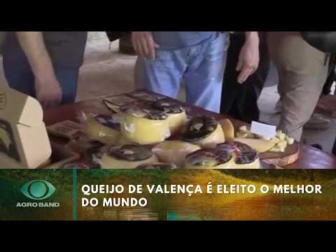 Giro Brasil: queijo de Valença é eleito o melhor do mundo | Agro Band