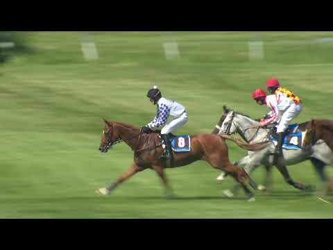 25. 7. 2020 - 4. dostih - Cena vítězů Velké pardubické