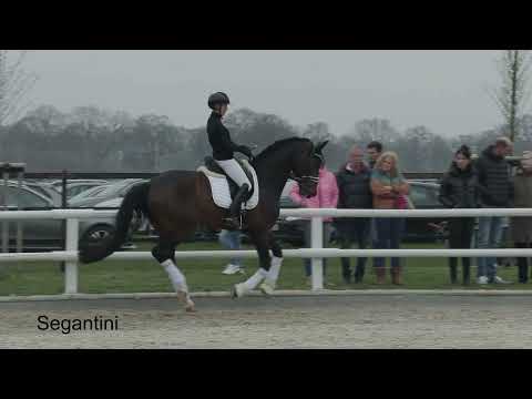 Segantini 2023