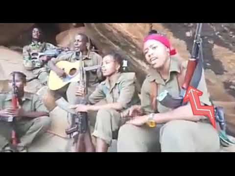 Hadhaa Qabsoo Hundaa nidhandhamnaa Jedhaan Shamaraan Kunn