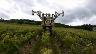 VINS CLAIRS PRESENTATION # TASTINGS OF STILL WINES 2015