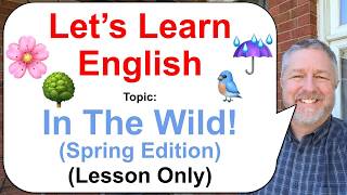 Let's Learn English! Topic: Found in the Wild! ☔🌸🐦 (Lesson Only)