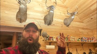 Q&A for subscribers. Joe Holland is live!