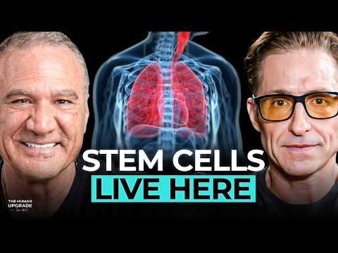 This Free Fix Made Me Stop Paying $10K For Stem Cells