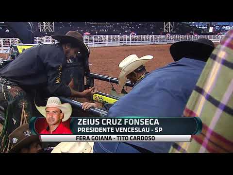 Zeius Cruz Fonseca x fera goiana