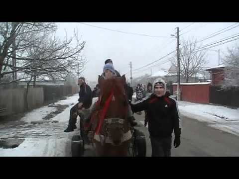 steag in cacova 2011