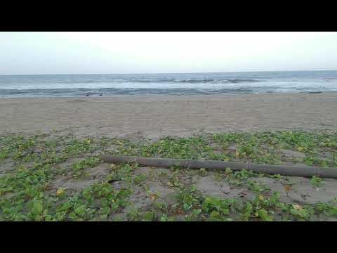 Beautiful Akkarai Beach - Chennai