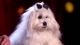 Marc Métral and his talking dog Wendy | Audition Week 1| Britain's Got Talent 2015