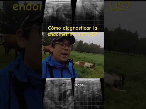 , title : 'Cómo diagnosticar la endometritis en vacas con US?'